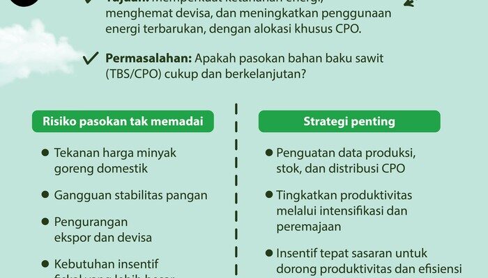 Kebutuhan Biodiesel Naik, Pasokan Sawit Dinilai Jadi Kunci Ketahanan Energi