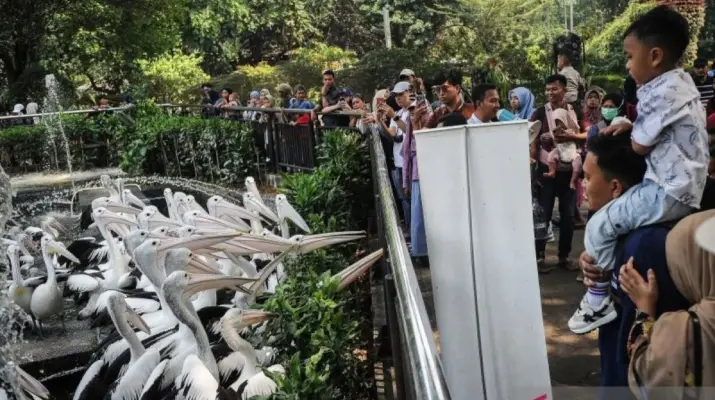 Pramono Segera Putuskan Tarif Baru Ragunan, Usulan Tiket Dewasa Capai Rp10 Ribu